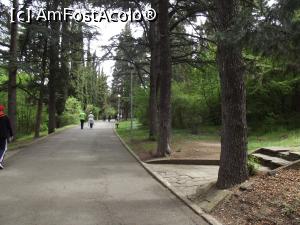 [P21] Prin parc, la plimbare » foto by irinad
 - 
<span class="allrVoted glyphicon glyphicon-heart hidden" id="av855146"></span>
<a class="m-l-10 hidden" id="sv855146" onclick="voting_Foto_DelVot(,855146,21906)" role="button">șterge vot <span class="glyphicon glyphicon-remove"></span></a>
<a id="v9855146" class=" c-red"  onclick="voting_Foto_SetVot(855146)" role="button"><span class="glyphicon glyphicon-heart-empty"></span> <b>LIKE</b> = Votează poza</a> <img class="hidden"  id="f855146W9" src="/imagini/loader.gif" border="0" /><span class="AjErrMes hidden" id="e855146ErM"></span>