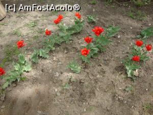 [P35] Pe lângă animale, din loc în loc sunt straturi de flori care încântă privirile vizitatorilor.  » foto by Floryn81
 - 
<span class="allrVoted glyphicon glyphicon-heart hidden" id="av857549"></span>
<a class="m-l-10 hidden" id="sv857549" onclick="voting_Foto_DelVot(,857549,21944)" role="button">șterge vot <span class="glyphicon glyphicon-remove"></span></a>
<a id="v9857549" class=" c-red"  onclick="voting_Foto_SetVot(857549)" role="button"><span class="glyphicon glyphicon-heart-empty"></span> <b>LIKE</b> = Votează poza</a> <img class="hidden"  id="f857549W9" src="/imagini/loader.gif" border="0" /><span class="AjErrMes hidden" id="e857549ErM"></span>