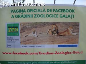 [P37] Zoo Galați - câteva date de contact afișate la intrare.  » foto by Floryn81
 - 
<span class="allrVoted glyphicon glyphicon-heart hidden" id="av857551"></span>
<a class="m-l-10 hidden" id="sv857551" onclick="voting_Foto_DelVot(,857551,21944)" role="button">șterge vot <span class="glyphicon glyphicon-remove"></span></a>
<a id="v9857551" class=" c-red"  onclick="voting_Foto_SetVot(857551)" role="button"><span class="glyphicon glyphicon-heart-empty"></span> <b>LIKE</b> = Votează poza</a> <img class="hidden"  id="f857551W9" src="/imagini/loader.gif" border="0" /><span class="AjErrMes hidden" id="e857551ErM"></span>