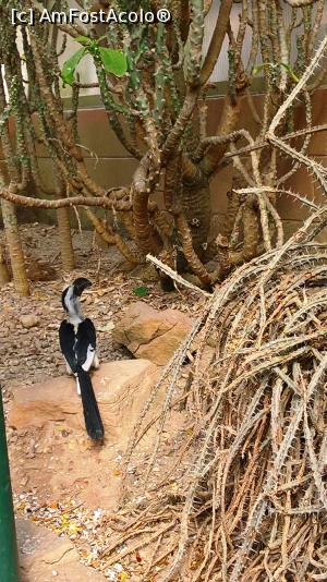[P23] Leeds Tropical World » foto by Rox.Patrik
 - 
<span class="allrVoted glyphicon glyphicon-heart hidden" id="av917872"></span>
<a class="m-l-10 hidden" id="sv917872" onclick="voting_Foto_DelVot(,917872,22074)" role="button">șterge vot <span class="glyphicon glyphicon-remove"></span></a>
<a id="v9917872" class=" c-red"  onclick="voting_Foto_SetVot(917872)" role="button"><span class="glyphicon glyphicon-heart-empty"></span> <b>LIKE</b> = Votează poza</a> <img class="hidden"  id="f917872W9" src="/imagini/loader.gif" border="0" /><span class="AjErrMes hidden" id="e917872ErM"></span>