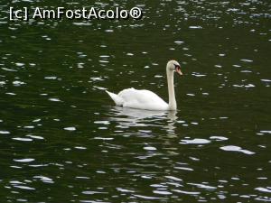 [P28] Roundhay Park » foto by Rox.Patrik
 - 
<span class="allrVoted glyphicon glyphicon-heart hidden" id="av917881"></span>
<a class="m-l-10 hidden" id="sv917881" onclick="voting_Foto_DelVot(,917881,22074)" role="button">șterge vot <span class="glyphicon glyphicon-remove"></span></a>
<a id="v9917881" class=" c-red"  onclick="voting_Foto_SetVot(917881)" role="button"><span class="glyphicon glyphicon-heart-empty"></span> <b>LIKE</b> = Votează poza</a> <img class="hidden"  id="f917881W9" src="/imagini/loader.gif" border="0" /><span class="AjErrMes hidden" id="e917881ErM"></span>