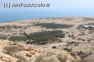 [P66] En Gedi, Plantații de palmieri, Parcul Național de Antichități cu Sinagoga Veche este cel cu acoperișul gen cort alb văzute din traseu, poză mărită, vom ajunge la el... » foto by mprofeanu
 - 
<span class="allrVoted glyphicon glyphicon-heart hidden" id="av1147493"></span>
<a class="m-l-10 hidden" id="sv1147493" onclick="voting_Foto_DelVot(,1147493,22150)" role="button">șterge vot <span class="glyphicon glyphicon-remove"></span></a>
<a id="v91147493" class=" c-red"  onclick="voting_Foto_SetVot(1147493)" role="button"><span class="glyphicon glyphicon-heart-empty"></span> <b>LIKE</b> = Votează poza</a> <img class="hidden"  id="f1147493W9" src="/imagini/loader.gif" border="0" /><span class="AjErrMes hidden" id="e1147493ErM"></span>