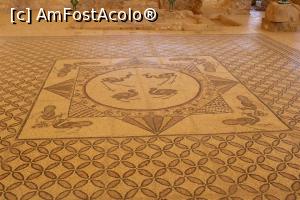 [P79] En Gedi, Sinagoga Veche, frumos mozaic cu păuni ce țin în ciocuri struguri, în față locul unde era Sfântul Chivot » foto by mprofeanu
 - 
<span class="allrVoted glyphicon glyphicon-heart hidden" id="av1147513"></span>
<a class="m-l-10 hidden" id="sv1147513" onclick="voting_Foto_DelVot(,1147513,22150)" role="button">șterge vot <span class="glyphicon glyphicon-remove"></span></a>
<a id="v91147513" class=" c-red"  onclick="voting_Foto_SetVot(1147513)" role="button"><span class="glyphicon glyphicon-heart-empty"></span> <b>LIKE</b> = Votează poza</a> <img class="hidden"  id="f1147513W9" src="/imagini/loader.gif" border="0" /><span class="AjErrMes hidden" id="e1147513ErM"></span>
