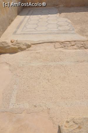 [P14] Unul din mozaicurile cetatii Masada.  » foto by Diaura*
 - 
<span class="allrVoted glyphicon glyphicon-heart hidden" id="av1059560"></span>
<a class="m-l-10 hidden" id="sv1059560" onclick="voting_Foto_DelVot(,1059560,22151)" role="button">șterge vot <span class="glyphicon glyphicon-remove"></span></a>
<a id="v91059560" class=" c-red"  onclick="voting_Foto_SetVot(1059560)" role="button"><span class="glyphicon glyphicon-heart-empty"></span> <b>LIKE</b> = Votează poza</a> <img class="hidden"  id="f1059560W9" src="/imagini/loader.gif" border="0" /><span class="AjErrMes hidden" id="e1059560ErM"></span>