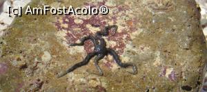 [P01]  -- <small>// FĂRĂ DESCRIERE</small> » foto by catalinioan
 - 
<span class="allrVoted glyphicon glyphicon-heart hidden" id="av871913"></span>
<a class="m-l-10 hidden" id="sv871913" onclick="voting_Foto_DelVot(,871913,22180)" role="button">șterge vot <span class="glyphicon glyphicon-remove"></span></a>
<a id="v9871913" class=" c-red"  onclick="voting_Foto_SetVot(871913)" role="button"><span class="glyphicon glyphicon-heart-empty"></span> <b>LIKE</b> = Votează poza</a> <img class="hidden"  id="f871913W9" src="/imagini/loader.gif" border="0" /><span class="AjErrMes hidden" id="e871913ErM"></span>