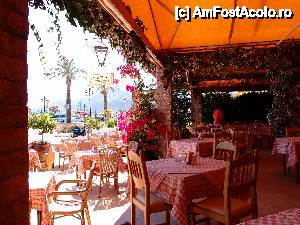 [P03] Taverna Panorama - vedere cu interiorul ei si cu vegetatia extrem de frumoasa ce decoreaza aceasta locatie » foto by alexvat
 - 
<span class="allrVoted glyphicon glyphicon-heart hidden" id="av464892"></span>
<a class="m-l-10 hidden" id="sv464892" onclick="voting_Foto_DelVot(,464892,22299)" role="button">șterge vot <span class="glyphicon glyphicon-remove"></span></a>
<a id="v9464892" class=" c-red"  onclick="voting_Foto_SetVot(464892)" role="button"><span class="glyphicon glyphicon-heart-empty"></span> <b>LIKE</b> = Votează poza</a> <img class="hidden"  id="f464892W9" src="/imagini/loader.gif" border="0" /><span class="AjErrMes hidden" id="e464892ErM"></span>