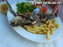 [P23] Restaurant Asterias - seabass (lup de mare)  » foto by Dabator
 - 
<span class="allrVoted glyphicon glyphicon-heart hidden" id="av350719"></span>
<a class="m-l-10 hidden" id="sv350719" onclick="voting_Foto_DelVot(,350719,22307)" role="button">șterge vot <span class="glyphicon glyphicon-remove"></span></a>
<a id="v9350719" class=" c-red"  onclick="voting_Foto_SetVot(350719)" role="button"><span class="glyphicon glyphicon-heart-empty"></span> <b>LIKE</b> = Votează poza</a> <img class="hidden"  id="f350719W9" src="/imagini/loader.gif" border="0" /><span class="AjErrMes hidden" id="e350719ErM"></span>
