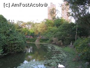 [P19] Am coborat cu picioarele pe pamant, suntem in parcul Da'an » foto by mishu
 - 
<span class="allrVoted glyphicon glyphicon-heart hidden" id="av881019"></span>
<a class="m-l-10 hidden" id="sv881019" onclick="voting_Foto_DelVot(,881019,22340)" role="button">șterge vot <span class="glyphicon glyphicon-remove"></span></a>
<a id="v9881019" class=" c-red"  onclick="voting_Foto_SetVot(881019)" role="button"><span class="glyphicon glyphicon-heart-empty"></span> <b>LIKE</b> = Votează poza</a> <img class="hidden"  id="f881019W9" src="/imagini/loader.gif" border="0" /><span class="AjErrMes hidden" id="e881019ErM"></span>