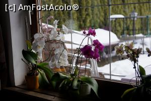 [P12]  -- <small>// FĂRĂ DESCRIERE</small> » foto by Utube
 - 
<span class="allrVoted glyphicon glyphicon-heart hidden" id="av881329"></span>
<a class="m-l-10 hidden" id="sv881329" onclick="voting_Foto_DelVot(,881329,22346)" role="button">șterge vot <span class="glyphicon glyphicon-remove"></span></a>
<a id="v9881329" class=" c-red"  onclick="voting_Foto_SetVot(881329)" role="button"><span class="glyphicon glyphicon-heart-empty"></span> <b>LIKE</b> = Votează poza</a> <img class="hidden"  id="f881329W9" src="/imagini/loader.gif" border="0" /><span class="AjErrMes hidden" id="e881329ErM"></span>