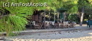 [P17] Plaja Koukounaries, Skiathos » foto by vlado2
 - 
<span class="allrVoted glyphicon glyphicon-heart hidden" id="av1522091"></span>
<a class="m-l-10 hidden" id="sv1522091" onclick="voting_Foto_DelVot(,1522091,22413)" role="button">șterge vot <span class="glyphicon glyphicon-remove"></span></a>
<a id="v91522091" class=" c-red"  onclick="voting_Foto_SetVot(1522091)" role="button"><span class="glyphicon glyphicon-heart-empty"></span> <b>LIKE</b> = Votează poza</a> <img class="hidden"  id="f1522091W9" src="/imagini/loader.gif" border="0" /><span class="AjErrMes hidden" id="e1522091ErM"></span>