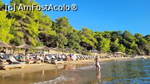 [P29] Plaja Agia Eleni, Skiathos » foto by vlado2
 - 
<span class="allrVoted glyphicon glyphicon-heart hidden" id="av1522409"></span>
<a class="m-l-10 hidden" id="sv1522409" onclick="voting_Foto_DelVot(,1522409,22413)" role="button">șterge vot <span class="glyphicon glyphicon-remove"></span></a>
<a id="v91522409" class=" c-red"  onclick="voting_Foto_SetVot(1522409)" role="button"><span class="glyphicon glyphicon-heart-empty"></span> <b>LIKE</b> = Votează poza</a> <img class="hidden"  id="f1522409W9" src="/imagini/loader.gif" border="0" /><span class="AjErrMes hidden" id="e1522409ErM"></span>