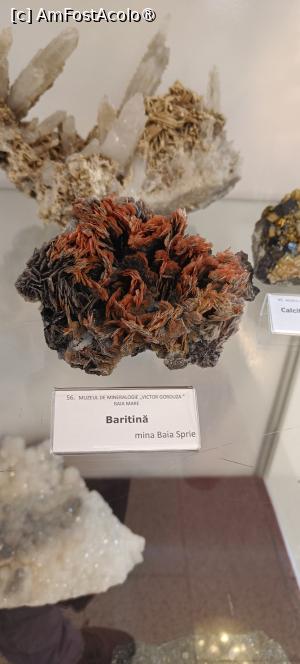 [P03] Flori de mină din Maramureș - expoziție temporară.. » foto by tata123 🔱
 - 
<span class="allrVoted glyphicon glyphicon-heart hidden" id="av1525599"></span>
<a class="m-l-10 hidden" id="sv1525599" onclick="voting_Foto_DelVot(,1525599,22428)" role="button">șterge vot <span class="glyphicon glyphicon-remove"></span></a>
<a id="v91525599" class=" c-red"  onclick="voting_Foto_SetVot(1525599)" role="button"><span class="glyphicon glyphicon-heart-empty"></span> <b>LIKE</b> = Votează poza</a> <img class="hidden"  id="f1525599W9" src="/imagini/loader.gif" border="0" /><span class="AjErrMes hidden" id="e1525599ErM"></span>