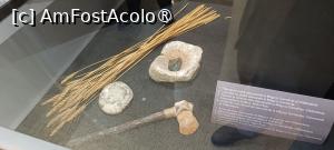 [P09] De-ale agriculturii preistorice... » foto by tata123 🔱
 - 
<span class="allrVoted glyphicon glyphicon-heart hidden" id="av1525605"></span>
<a class="m-l-10 hidden" id="sv1525605" onclick="voting_Foto_DelVot(,1525605,22428)" role="button">șterge vot <span class="glyphicon glyphicon-remove"></span></a>
<a id="v91525605" class=" c-red"  onclick="voting_Foto_SetVot(1525605)" role="button"><span class="glyphicon glyphicon-heart-empty"></span> <b>LIKE</b> = Votează poza</a> <img class="hidden"  id="f1525605W9" src="/imagini/loader.gif" border="0" /><span class="AjErrMes hidden" id="e1525605ErM"></span>