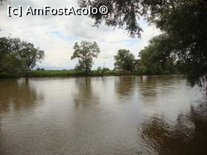 [P03] Drumul comunal înaintează pentru câţiva kilometri pe lângă albia Oltului.  » foto by Floryn81
 - 
<span class="allrVoted glyphicon glyphicon-heart hidden" id="av887230"></span>
<a class="m-l-10 hidden" id="sv887230" onclick="voting_Foto_DelVot(,887230,22448)" role="button">șterge vot <span class="glyphicon glyphicon-remove"></span></a>
<a id="v9887230" class=" c-red"  onclick="voting_Foto_SetVot(887230)" role="button"><span class="glyphicon glyphicon-heart-empty"></span> <b>LIKE</b> = Votează poza</a> <img class="hidden"  id="f887230W9" src="/imagini/loader.gif" border="0" /><span class="AjErrMes hidden" id="e887230ErM"></span>