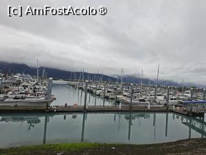 [P24]  -- <small>// FĂRĂ DESCRIERE</small> » foto by robert
 - 
<span class="allrVoted glyphicon glyphicon-heart hidden" id="av1510569"></span>
<a class="m-l-10 hidden" id="sv1510569" onclick="voting_Foto_DelVot(,1510569,22462)" role="button">șterge vot <span class="glyphicon glyphicon-remove"></span></a>
<a id="v91510569" class=" c-red"  onclick="voting_Foto_SetVot(1510569)" role="button"><span class="glyphicon glyphicon-heart-empty"></span> <b>LIKE</b> = Votează poza</a> <img class="hidden"  id="f1510569W9" src="/imagini/loader.gif" border="0" /><span class="AjErrMes hidden" id="e1510569ErM"></span>