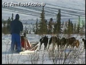 P09 [AUG-2000] Singurătatea cârmaciului câinilor Husky. 