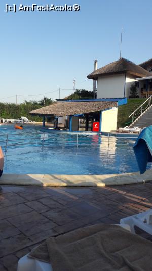 [P06] Barul din piscina si piscina pentru copii.  » foto by ioppo
 - 
<span class="allrVoted glyphicon glyphicon-heart hidden" id="av889020"></span>
<a class="m-l-10 hidden" id="sv889020" onclick="voting_Foto_DelVot(,889020,22475)" role="button">șterge vot <span class="glyphicon glyphicon-remove"></span></a>
<a id="v9889020" class=" c-red"  onclick="voting_Foto_SetVot(889020)" role="button"><span class="glyphicon glyphicon-heart-empty"></span> <b>LIKE</b> = Votează poza</a> <img class="hidden"  id="f889020W9" src="/imagini/loader.gif" border="0" /><span class="AjErrMes hidden" id="e889020ErM"></span>