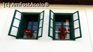 [P04] Ferestrele de la drum ale Casei Zabos. Peretele zugrăvit în alb, ferestre de lemn originale vopsite în verde și cu mușcate roșii la geam » foto by Lucien
 - 
<span class="allrVoted glyphicon glyphicon-heart hidden" id="av890403"></span>
<a class="m-l-10 hidden" id="sv890403" onclick="voting_Foto_DelVot(,890403,22515)" role="button">șterge vot <span class="glyphicon glyphicon-remove"></span></a>
<a id="v9890403" class=" c-red"  onclick="voting_Foto_SetVot(890403)" role="button"><span class="glyphicon glyphicon-heart-empty"></span> <b>LIKE</b> = Votează poza</a> <img class="hidden"  id="f890403W9" src="/imagini/loader.gif" border="0" /><span class="AjErrMes hidden" id="e890403ErM"></span>