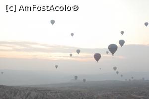 [P10]  -- <small>// FĂRĂ DESCRIERE</small> » foto by Alina Roxana
 - 
<span class="allrVoted glyphicon glyphicon-heart hidden" id="av1144513"></span>
<a class="m-l-10 hidden" id="sv1144513" onclick="voting_Foto_DelVot(,1144513,22561)" role="button">șterge vot <span class="glyphicon glyphicon-remove"></span></a>
<a id="v91144513" class=" c-red"  onclick="voting_Foto_SetVot(1144513)" role="button"><span class="glyphicon glyphicon-heart-empty"></span> <b>LIKE</b> = Votează poza</a> <img class="hidden"  id="f1144513W9" src="/imagini/loader.gif" border="0" /><span class="AjErrMes hidden" id="e1144513ErM"></span>