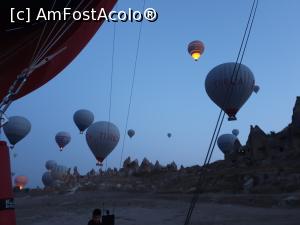 [P04]  -- <small>// FĂRĂ DESCRIERE</small> » foto by Alina Roxana
 - 
<span class="allrVoted glyphicon glyphicon-heart hidden" id="av1144507"></span>
<a class="m-l-10 hidden" id="sv1144507" onclick="voting_Foto_DelVot(,1144507,22561)" role="button">șterge vot <span class="glyphicon glyphicon-remove"></span></a>
<a id="v91144507" class=" c-red"  onclick="voting_Foto_SetVot(1144507)" role="button"><span class="glyphicon glyphicon-heart-empty"></span> <b>LIKE</b> = Votează poza</a> <img class="hidden"  id="f1144507W9" src="/imagini/loader.gif" border="0" /><span class="AjErrMes hidden" id="e1144507ErM"></span>