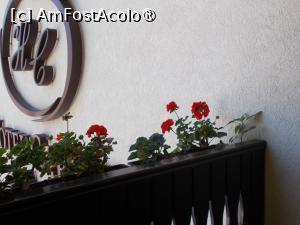 [P04] Vedere din balconul camerei » foto by laurand
 - 
<span class="allrVoted glyphicon glyphicon-heart hidden" id="av1507920"></span>
<a class="m-l-10 hidden" id="sv1507920" onclick="voting_Foto_DelVot(,1507920,22589)" role="button">șterge vot <span class="glyphicon glyphicon-remove"></span></a>
<a id="v91507920" class=" c-red"  onclick="voting_Foto_SetVot(1507920)" role="button"><span class="glyphicon glyphicon-heart-empty"></span> <b>LIKE</b> = Votează poza</a> <img class="hidden"  id="f1507920W9" src="/imagini/loader.gif" border="0" /><span class="AjErrMes hidden" id="e1507920ErM"></span>