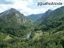 [P10] Peisaj de vis muntenegrean, in Canionul Tara din Durmitor Park » foto by ileanaxperta*
 - 
<span class="allrVoted glyphicon glyphicon-heart hidden" id="av261971"></span>
<a class="m-l-10 hidden" id="sv261971" onclick="voting_Foto_DelVot(,261971,22604)" role="button">șterge vot <span class="glyphicon glyphicon-remove"></span></a>
<a id="v9261971" class=" c-red"  onclick="voting_Foto_SetVot(261971)" role="button"><span class="glyphicon glyphicon-heart-empty"></span> <b>LIKE</b> = Votează poza</a> <img class="hidden"  id="f261971W9" src="/imagini/loader.gif" border="0" /><span class="AjErrMes hidden" id="e261971ErM"></span>