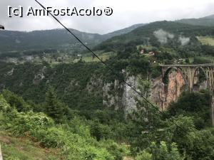 [P10] Durdevica și stâncile Tarei » foto by krisstinna
 - 
<span class="allrVoted glyphicon glyphicon-heart hidden" id="av1106912"></span>
<a class="m-l-10 hidden" id="sv1106912" onclick="voting_Foto_DelVot(,1106912,22604)" role="button">șterge vot <span class="glyphicon glyphicon-remove"></span></a>
<a id="v91106912" class=" c-red"  onclick="voting_Foto_SetVot(1106912)" role="button"><span class="glyphicon glyphicon-heart-empty"></span> <b>LIKE</b> = Votează poza</a> <img class="hidden"  id="f1106912W9" src="/imagini/loader.gif" border="0" /><span class="AjErrMes hidden" id="e1106912ErM"></span>