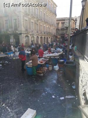 [P17] Piata de peste » foto by Nicu
 - 
<span class="allrVoted glyphicon glyphicon-heart hidden" id="av1120780"></span>
<a class="m-l-10 hidden" id="sv1120780" onclick="voting_Foto_DelVot(,1120780,22614)" role="button">șterge vot <span class="glyphicon glyphicon-remove"></span></a>
<a id="v91120780" class=" c-red"  onclick="voting_Foto_SetVot(1120780)" role="button"><span class="glyphicon glyphicon-heart-empty"></span> <b>LIKE</b> = Votează poza</a> <img class="hidden"  id="f1120780W9" src="/imagini/loader.gif" border="0" /><span class="AjErrMes hidden" id="e1120780ErM"></span>