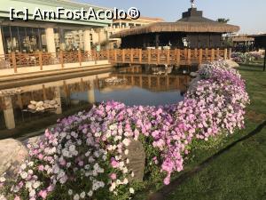 [P20] restaurant italian » foto by madalinam10
 - 
<span class="allrVoted glyphicon glyphicon-heart hidden" id="av1224182"></span>
<a class="m-l-10 hidden" id="sv1224182" onclick="voting_Foto_DelVot(,1224182,22687)" role="button">șterge vot <span class="glyphicon glyphicon-remove"></span></a>
<a id="v91224182" class=" c-red"  onclick="voting_Foto_SetVot(1224182)" role="button"><span class="glyphicon glyphicon-heart-empty"></span> <b>LIKE</b> = Votează poza</a> <img class="hidden"  id="f1224182W9" src="/imagini/loader.gif" border="0" /><span class="AjErrMes hidden" id="e1224182ErM"></span>