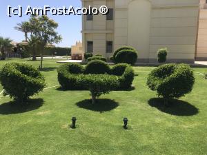 [P09] grădina » foto by madalinam10
 - 
<span class="allrVoted glyphicon glyphicon-heart hidden" id="av1224171"></span>
<a class="m-l-10 hidden" id="sv1224171" onclick="voting_Foto_DelVot(,1224171,22687)" role="button">șterge vot <span class="glyphicon glyphicon-remove"></span></a>
<a id="v91224171" class=" c-red"  onclick="voting_Foto_SetVot(1224171)" role="button"><span class="glyphicon glyphicon-heart-empty"></span> <b>LIKE</b> = Votează poza</a> <img class="hidden"  id="f1224171W9" src="/imagini/loader.gif" border="0" /><span class="AjErrMes hidden" id="e1224171ErM"></span>