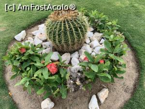 [P15] Flori in gradina » foto by BalaciPaul
 - 
<span class="allrVoted glyphicon glyphicon-heart hidden" id="av1285531"></span>
<a class="m-l-10 hidden" id="sv1285531" onclick="voting_Foto_DelVot(,1285531,22687)" role="button">șterge vot <span class="glyphicon glyphicon-remove"></span></a>
<a id="v91285531" class=" c-red"  onclick="voting_Foto_SetVot(1285531)" role="button"><span class="glyphicon glyphicon-heart-empty"></span> <b>LIKE</b> = Votează poza</a> <img class="hidden"  id="f1285531W9" src="/imagini/loader.gif" border="0" /><span class="AjErrMes hidden" id="e1285531ErM"></span>