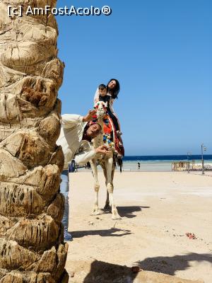 [P27]  -- <small>// FĂRĂ DESCRIERE</small> » foto by BalaciPaul
 - 
<span class="allrVoted glyphicon glyphicon-heart hidden" id="av1285543"></span>
<a class="m-l-10 hidden" id="sv1285543" onclick="voting_Foto_DelVot(,1285543,22687)" role="button">șterge vot <span class="glyphicon glyphicon-remove"></span></a>
<a id="v91285543" class=" c-red"  onclick="voting_Foto_SetVot(1285543)" role="button"><span class="glyphicon glyphicon-heart-empty"></span> <b>LIKE</b> = Votează poza</a> <img class="hidden"  id="f1285543W9" src="/imagini/loader.gif" border="0" /><span class="AjErrMes hidden" id="e1285543ErM"></span>