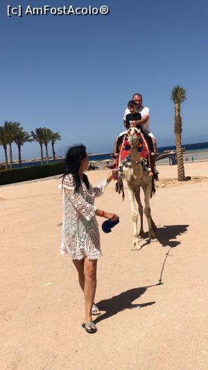 [P29]  -- <small>// FĂRĂ DESCRIERE</small> » foto by BalaciPaul
 - 
<span class="allrVoted glyphicon glyphicon-heart hidden" id="av1285545"></span>
<a class="m-l-10 hidden" id="sv1285545" onclick="voting_Foto_DelVot(,1285545,22687)" role="button">șterge vot <span class="glyphicon glyphicon-remove"></span></a>
<a id="v91285545" class=" c-red"  onclick="voting_Foto_SetVot(1285545)" role="button"><span class="glyphicon glyphicon-heart-empty"></span> <b>LIKE</b> = Votează poza</a> <img class="hidden"  id="f1285545W9" src="/imagini/loader.gif" border="0" /><span class="AjErrMes hidden" id="e1285545ErM"></span>