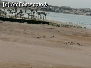 [P02]  -- <small>// FĂRĂ DESCRIERE</small> » foto by Horia2022
 - 
<span class="allrVoted glyphicon glyphicon-heart hidden" id="av1291615"></span>
<a class="m-l-10 hidden" id="sv1291615" onclick="voting_Foto_DelVot(,1291615,22687)" role="button">șterge vot <span class="glyphicon glyphicon-remove"></span></a>
<a id="v91291615" class=" c-red"  onclick="voting_Foto_SetVot(1291615)" role="button"><span class="glyphicon glyphicon-heart-empty"></span> <b>LIKE</b> = Votează poza</a> <img class="hidden"  id="f1291615W9" src="/imagini/loader.gif" border="0" /><span class="AjErrMes hidden" id="e1291615ErM"></span>