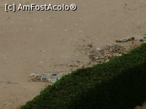 [P06]  -- <small>// FĂRĂ DESCRIERE</small> » foto by Horia2022
 - 
<span class="allrVoted glyphicon glyphicon-heart hidden" id="av1291619"></span>
<a class="m-l-10 hidden" id="sv1291619" onclick="voting_Foto_DelVot(,1291619,22687)" role="button">șterge vot <span class="glyphicon glyphicon-remove"></span></a>
<a id="v91291619" class=" c-red"  onclick="voting_Foto_SetVot(1291619)" role="button"><span class="glyphicon glyphicon-heart-empty"></span> <b>LIKE</b> = Votează poza</a> <img class="hidden"  id="f1291619W9" src="/imagini/loader.gif" border="0" /><span class="AjErrMes hidden" id="e1291619ErM"></span>