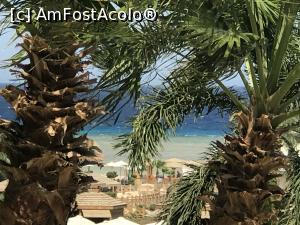 [P03] Tropitel Sahl Hasheesh - Marea » foto by nicole33
 - 
<span class="allrVoted glyphicon glyphicon-heart hidden" id="av1270790"></span>
<a class="m-l-10 hidden" id="sv1270790" onclick="voting_Foto_DelVot(,1270790,22687)" role="button">șterge vot <span class="glyphicon glyphicon-remove"></span></a>
<a id="v91270790" class=" c-red"  onclick="voting_Foto_SetVot(1270790)" role="button"><span class="glyphicon glyphicon-heart-empty"></span> <b>LIKE</b> = Votează poza</a> <img class="hidden"  id="f1270790W9" src="/imagini/loader.gif" border="0" /><span class="AjErrMes hidden" id="e1270790ErM"></span>