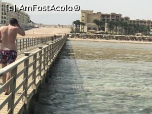 [P43] Tropitel Sahl Hasheesh - marea la reflux şi hotelul » foto by nicole33
 - 
<span class="allrVoted glyphicon glyphicon-heart hidden" id="av1270830"></span>
<a class="m-l-10 hidden" id="sv1270830" onclick="voting_Foto_DelVot(,1270830,22687)" role="button">șterge vot <span class="glyphicon glyphicon-remove"></span></a>
<a id="v91270830" class=" c-red"  onclick="voting_Foto_SetVot(1270830)" role="button"><span class="glyphicon glyphicon-heart-empty"></span> <b>LIKE</b> = Votează poza</a> <img class="hidden"  id="f1270830W9" src="/imagini/loader.gif" border="0" /><span class="AjErrMes hidden" id="e1270830ErM"></span>