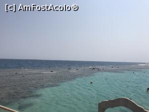 [P45] Tropitel Sahl Hasheesh - laguna » foto by nicole33
 - 
<span class="allrVoted glyphicon glyphicon-heart hidden" id="av1270832"></span>
<a class="m-l-10 hidden" id="sv1270832" onclick="voting_Foto_DelVot(,1270832,22687)" role="button">șterge vot <span class="glyphicon glyphicon-remove"></span></a>
<a id="v91270832" class=" c-red"  onclick="voting_Foto_SetVot(1270832)" role="button"><span class="glyphicon glyphicon-heart-empty"></span> <b>LIKE</b> = Votează poza</a> <img class="hidden"  id="f1270832W9" src="/imagini/loader.gif" border="0" /><span class="AjErrMes hidden" id="e1270832ErM"></span>