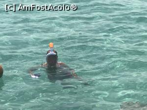 [P48] Tropitel Sahl Hasheesh - un pasionat de snorkeling » foto by nicole33
 - 
<span class="allrVoted glyphicon glyphicon-heart hidden" id="av1270835"></span>
<a class="m-l-10 hidden" id="sv1270835" onclick="voting_Foto_DelVot(,1270835,22687)" role="button">șterge vot <span class="glyphicon glyphicon-remove"></span></a>
<a id="v91270835" class=" c-red"  onclick="voting_Foto_SetVot(1270835)" role="button"><span class="glyphicon glyphicon-heart-empty"></span> <b>LIKE</b> = Votează poza</a> <img class="hidden"  id="f1270835W9" src="/imagini/loader.gif" border="0" /><span class="AjErrMes hidden" id="e1270835ErM"></span>