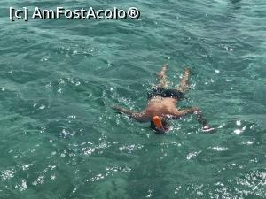 [P49] Tropitel Sahl Hasheesh - la snorkeling » foto by nicole33
 - 
<span class="allrVoted glyphicon glyphicon-heart hidden" id="av1270836"></span>
<a class="m-l-10 hidden" id="sv1270836" onclick="voting_Foto_DelVot(,1270836,22687)" role="button">șterge vot <span class="glyphicon glyphicon-remove"></span></a>
<a id="v91270836" class=" c-red"  onclick="voting_Foto_SetVot(1270836)" role="button"><span class="glyphicon glyphicon-heart-empty"></span> <b>LIKE</b> = Votează poza</a> <img class="hidden"  id="f1270836W9" src="/imagini/loader.gif" border="0" /><span class="AjErrMes hidden" id="e1270836ErM"></span>