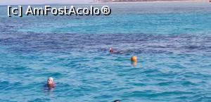 [P05] Tropitel Sahl Hasheesh - la snorkeling » foto by nicole33
 - 
<span class="allrVoted glyphicon glyphicon-heart hidden" id="av1270792"></span>
<a class="m-l-10 hidden" id="sv1270792" onclick="voting_Foto_DelVot(,1270792,22687)" role="button">șterge vot <span class="glyphicon glyphicon-remove"></span></a>
<a id="v91270792" class=" c-red"  onclick="voting_Foto_SetVot(1270792)" role="button"><span class="glyphicon glyphicon-heart-empty"></span> <b>LIKE</b> = Votează poza</a> <img class="hidden"  id="f1270792W9" src="/imagini/loader.gif" border="0" /><span class="AjErrMes hidden" id="e1270792ErM"></span>