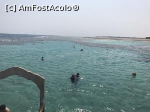 [P50] Tropitel Sahl Hasheesh - laguna » foto by nicole33
 - 
<span class="allrVoted glyphicon glyphicon-heart hidden" id="av1270837"></span>
<a class="m-l-10 hidden" id="sv1270837" onclick="voting_Foto_DelVot(,1270837,22687)" role="button">șterge vot <span class="glyphicon glyphicon-remove"></span></a>
<a id="v91270837" class=" c-red"  onclick="voting_Foto_SetVot(1270837)" role="button"><span class="glyphicon glyphicon-heart-empty"></span> <b>LIKE</b> = Votează poza</a> <img class="hidden"  id="f1270837W9" src="/imagini/loader.gif" border="0" /><span class="AjErrMes hidden" id="e1270837ErM"></span>