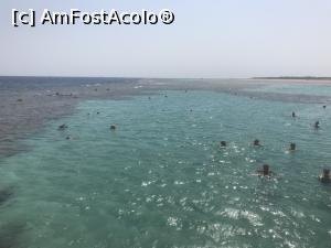 [P51] Tropitel Sahl Hasheesh - laguna » foto by nicole33
 - 
<span class="allrVoted glyphicon glyphicon-heart hidden" id="av1270838"></span>
<a class="m-l-10 hidden" id="sv1270838" onclick="voting_Foto_DelVot(,1270838,22687)" role="button">șterge vot <span class="glyphicon glyphicon-remove"></span></a>
<a id="v91270838" class=" c-red"  onclick="voting_Foto_SetVot(1270838)" role="button"><span class="glyphicon glyphicon-heart-empty"></span> <b>LIKE</b> = Votează poza</a> <img class="hidden"  id="f1270838W9" src="/imagini/loader.gif" border="0" /><span class="AjErrMes hidden" id="e1270838ErM"></span>