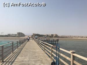 [P52] Tropitel Sahl Hasheesh - pontonul tare lung » foto by nicole33
 - 
<span class="allrVoted glyphicon glyphicon-heart hidden" id="av1270839"></span>
<a class="m-l-10 hidden" id="sv1270839" onclick="voting_Foto_DelVot(,1270839,22687)" role="button">șterge vot <span class="glyphicon glyphicon-remove"></span></a>
<a id="v91270839" class=" c-red"  onclick="voting_Foto_SetVot(1270839)" role="button"><span class="glyphicon glyphicon-heart-empty"></span> <b>LIKE</b> = Votează poza</a> <img class="hidden"  id="f1270839W9" src="/imagini/loader.gif" border="0" /><span class="AjErrMes hidden" id="e1270839ErM"></span>