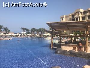 [P54] Tropitel Sahl Hasheesh - swim up pool bar la piscina principală » foto by nicole33
 - 
<span class="allrVoted glyphicon glyphicon-heart hidden" id="av1270841"></span>
<a class="m-l-10 hidden" id="sv1270841" onclick="voting_Foto_DelVot(,1270841,22687)" role="button">șterge vot <span class="glyphicon glyphicon-remove"></span></a>
<a id="v91270841" class=" c-red"  onclick="voting_Foto_SetVot(1270841)" role="button"><span class="glyphicon glyphicon-heart-empty"></span> <b>LIKE</b> = Votează poza</a> <img class="hidden"  id="f1270841W9" src="/imagini/loader.gif" border="0" /><span class="AjErrMes hidden" id="e1270841ErM"></span>