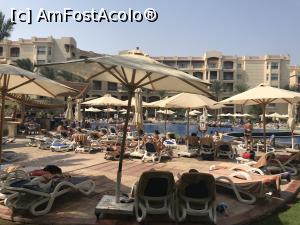 [P60] Tropitel Sahl Hasheesh - la piscina principală » foto by nicole33
 - 
<span class="allrVoted glyphicon glyphicon-heart hidden" id="av1270847"></span>
<a class="m-l-10 hidden" id="sv1270847" onclick="voting_Foto_DelVot(,1270847,22687)" role="button">șterge vot <span class="glyphicon glyphicon-remove"></span></a>
<a id="v91270847" class=" c-red"  onclick="voting_Foto_SetVot(1270847)" role="button"><span class="glyphicon glyphicon-heart-empty"></span> <b>LIKE</b> = Votează poza</a> <img class="hidden"  id="f1270847W9" src="/imagini/loader.gif" border="0" /><span class="AjErrMes hidden" id="e1270847ErM"></span>