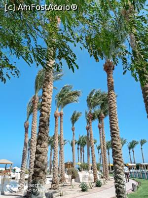 [P14] Prin resort. » foto by Rodel
 - 
<span class="allrVoted glyphicon glyphicon-heart hidden" id="av1280723"></span>
<a class="m-l-10 hidden" id="sv1280723" onclick="voting_Foto_DelVot(,1280723,22687)" role="button">șterge vot <span class="glyphicon glyphicon-remove"></span></a>
<a id="v91280723" class=" c-red"  onclick="voting_Foto_SetVot(1280723)" role="button"><span class="glyphicon glyphicon-heart-empty"></span> <b>LIKE</b> = Votează poza</a> <img class="hidden"  id="f1280723W9" src="/imagini/loader.gif" border="0" /><span class="AjErrMes hidden" id="e1280723ErM"></span>