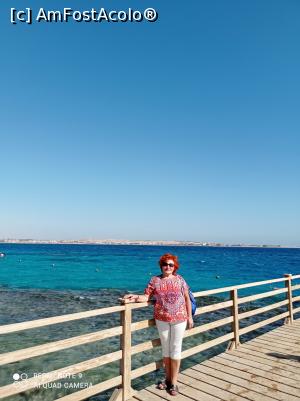 [P18] Pe ponton. » foto by Rodel
 - 
<span class="allrVoted glyphicon glyphicon-heart hidden" id="av1280727"></span>
<a class="m-l-10 hidden" id="sv1280727" onclick="voting_Foto_DelVot(,1280727,22687)" role="button">șterge vot <span class="glyphicon glyphicon-remove"></span></a>
<a id="v91280727" class=" c-red"  onclick="voting_Foto_SetVot(1280727)" role="button"><span class="glyphicon glyphicon-heart-empty"></span> <b>LIKE</b> = Votează poza</a> <img class="hidden"  id="f1280727W9" src="/imagini/loader.gif" border="0" /><span class="AjErrMes hidden" id="e1280727ErM"></span>