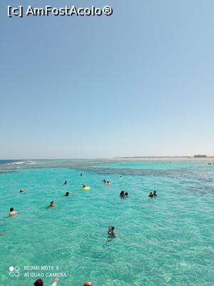 [P19] Marea cu una dintre culorile ei. » foto by Rodel
 - 
<span class="allrVoted glyphicon glyphicon-heart hidden" id="av1280728"></span>
<a class="m-l-10 hidden" id="sv1280728" onclick="voting_Foto_DelVot(,1280728,22687)" role="button">șterge vot <span class="glyphicon glyphicon-remove"></span></a>
<a id="v91280728" class=" c-red"  onclick="voting_Foto_SetVot(1280728)" role="button"><span class="glyphicon glyphicon-heart-empty"></span> <b>LIKE</b> = Votează poza</a> <img class="hidden"  id="f1280728W9" src="/imagini/loader.gif" border="0" /><span class="AjErrMes hidden" id="e1280728ErM"></span>