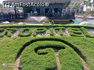 [P20] Sugestiv: Tropitel! » foto by Rodel
 - 
<span class="allrVoted glyphicon glyphicon-heart hidden" id="av1280729"></span>
<a class="m-l-10 hidden" id="sv1280729" onclick="voting_Foto_DelVot(,1280729,22687)" role="button">șterge vot <span class="glyphicon glyphicon-remove"></span></a>
<a id="v91280729" class=" c-red"  onclick="voting_Foto_SetVot(1280729)" role="button"><span class="glyphicon glyphicon-heart-empty"></span> <b>LIKE</b> = Votează poza</a> <img class="hidden"  id="f1280729W9" src="/imagini/loader.gif" border="0" /><span class="AjErrMes hidden" id="e1280729ErM"></span>